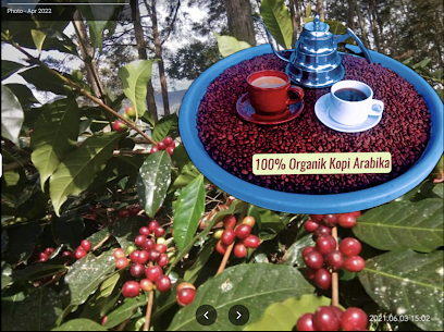 Papua Coffee