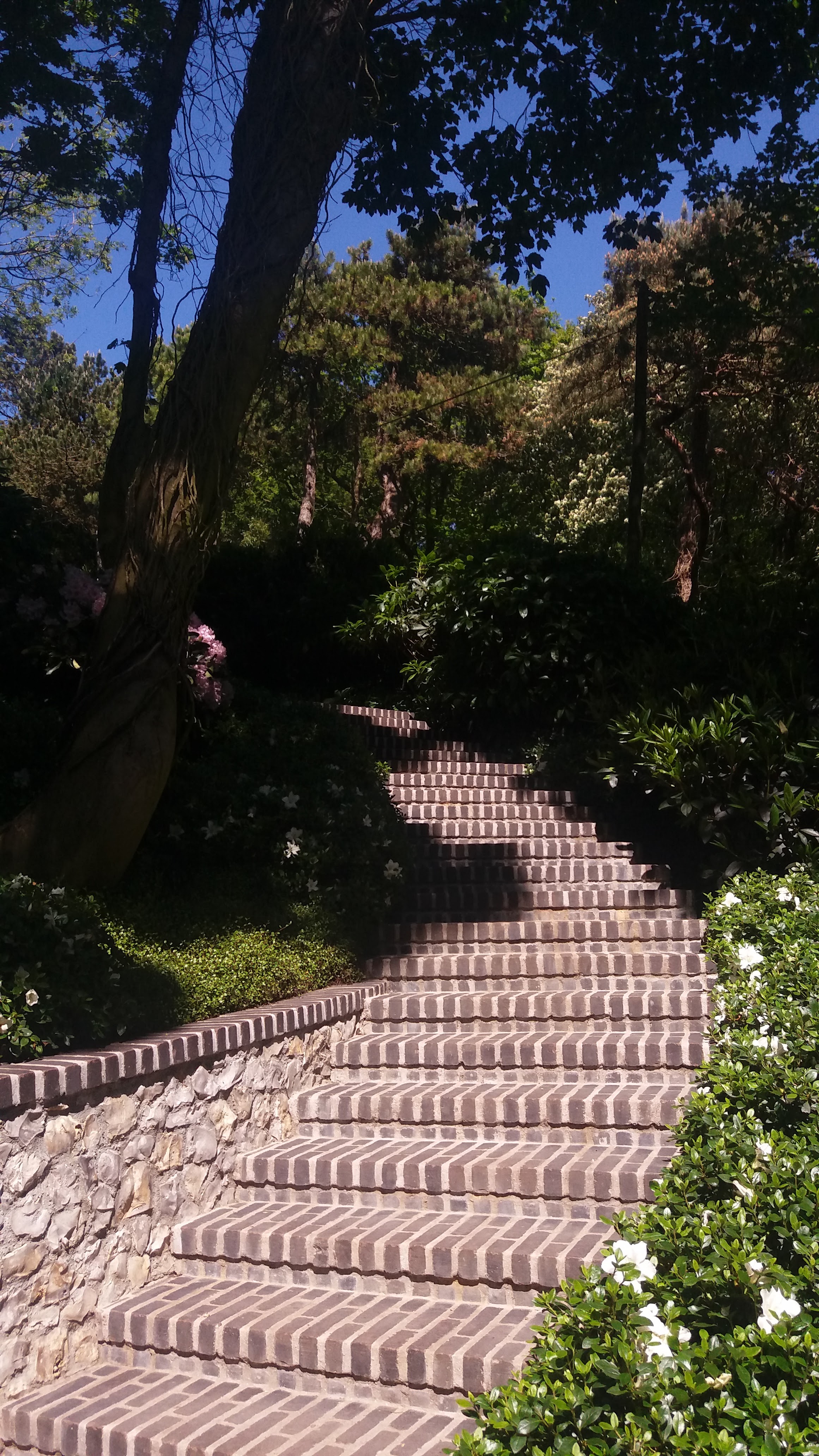 Photo n° 2 de l'avis de Chloé. fait le 13/06/2018 à 10:52