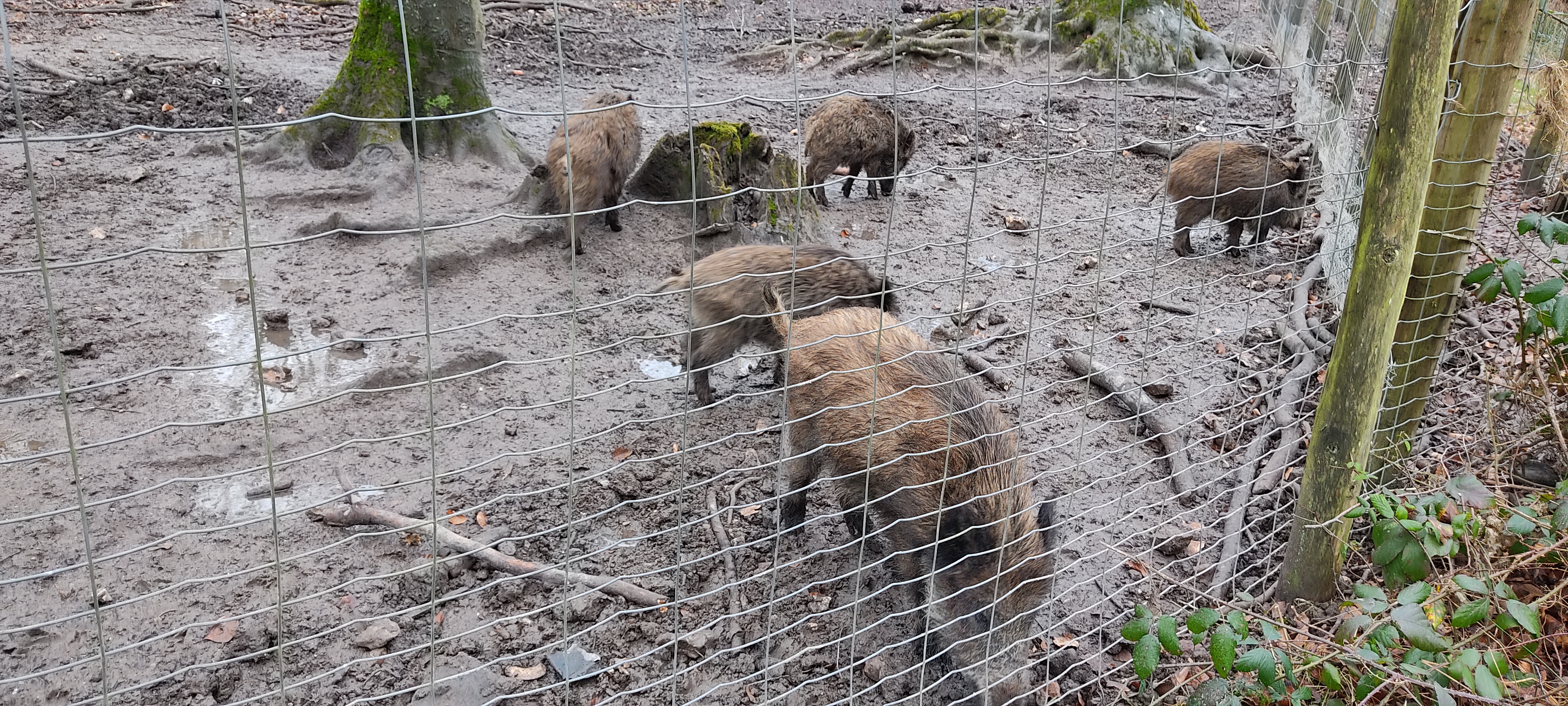 Photo n° 3 de l'avis de Marie.r fait le 02/02/2022 à 15:06