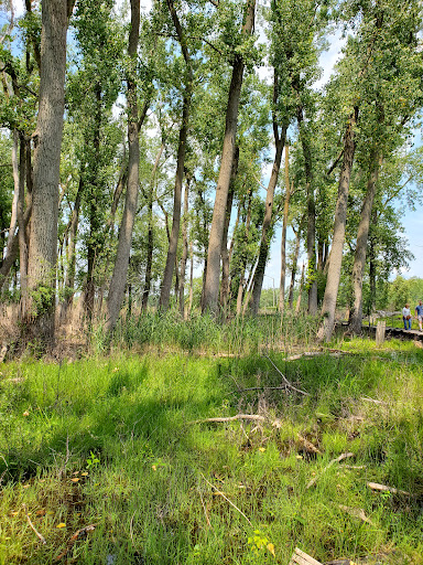 Nature Preserve «Tifft Nature Preserve», reviews and photos, 1200 Fuhrmann Boulevard, Buffalo, NY 14203, USA