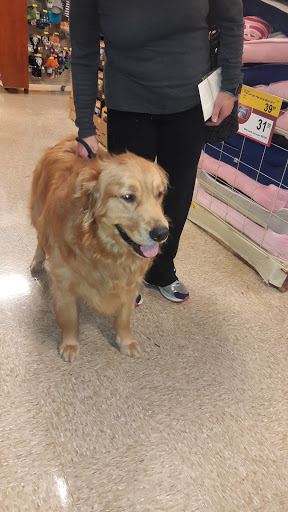 Pet Supply Store «PetSmart», reviews and photos, 16514 SW 88th St, Kendall, FL 33196, USA