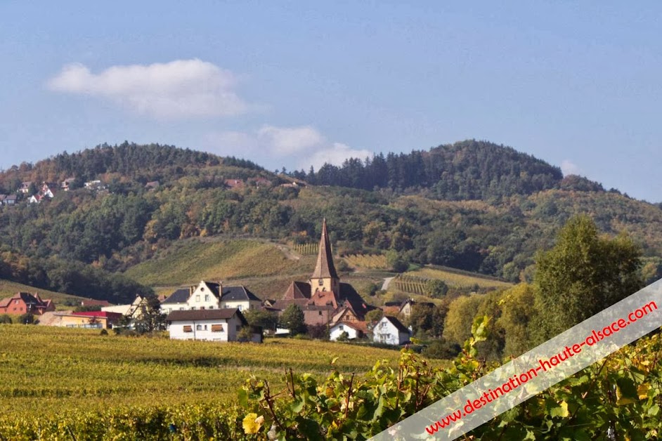 Gites de France Haute Alsace à Colmar (Haut-Rhin 68)