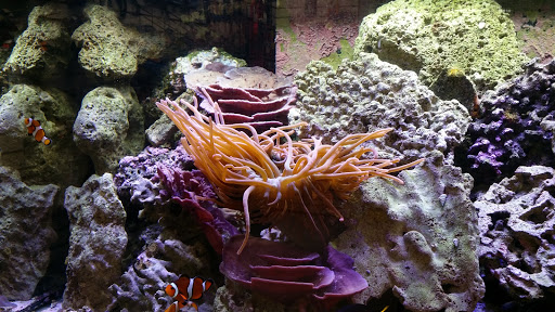 Pet Supply Store «Paws & Claws & Co», reviews and photos, 1801 E Market St, Warsaw, IN 46580, USA