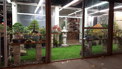 Bonsai Studio à Lyon