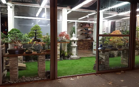 Bonsai Studio image