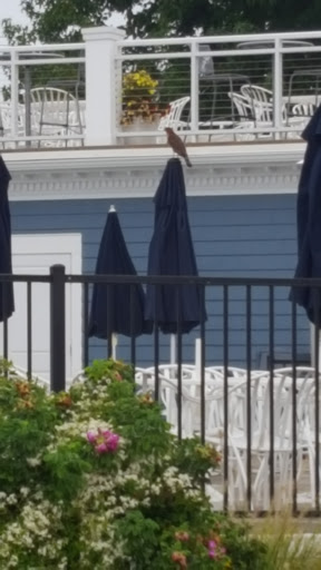 Country Club «Pine Orchard Yacht & Country Club», reviews and photos, 294 Pine Orchard Rd, Branford, CT 06405, USA