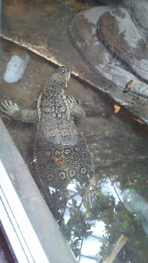 Animal Park «Detroit Zoo Safari Station Exit», reviews and photos, Ludlow Pl, Huntington Woods, MI 48070, USA