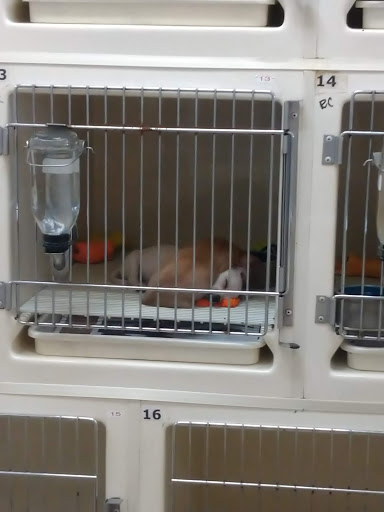 Pet Supply Store «The Pet Center», reviews and photos, 3725 Renee Dr, Myrtle Beach, SC 29579, USA