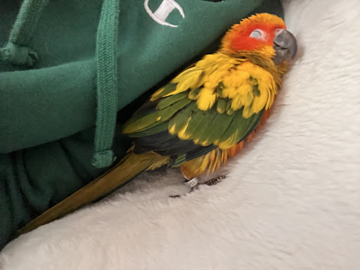 Pet Supply Store «Petco Animal Supplies», reviews and photos, 300 Quaker Ln #3, Warwick, RI 02886, USA