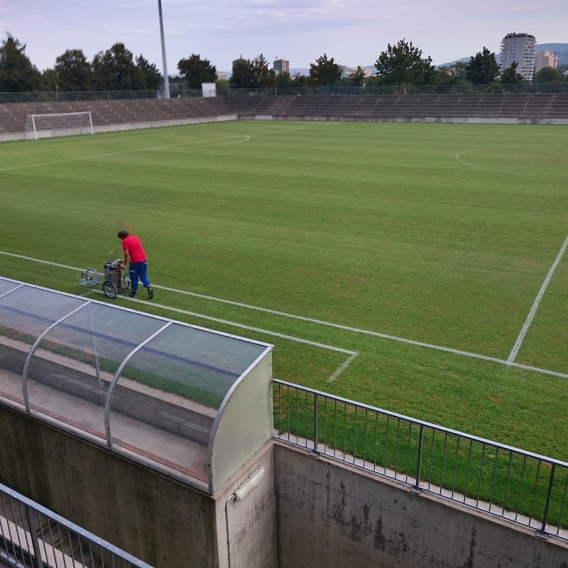 Stadion Rankhof