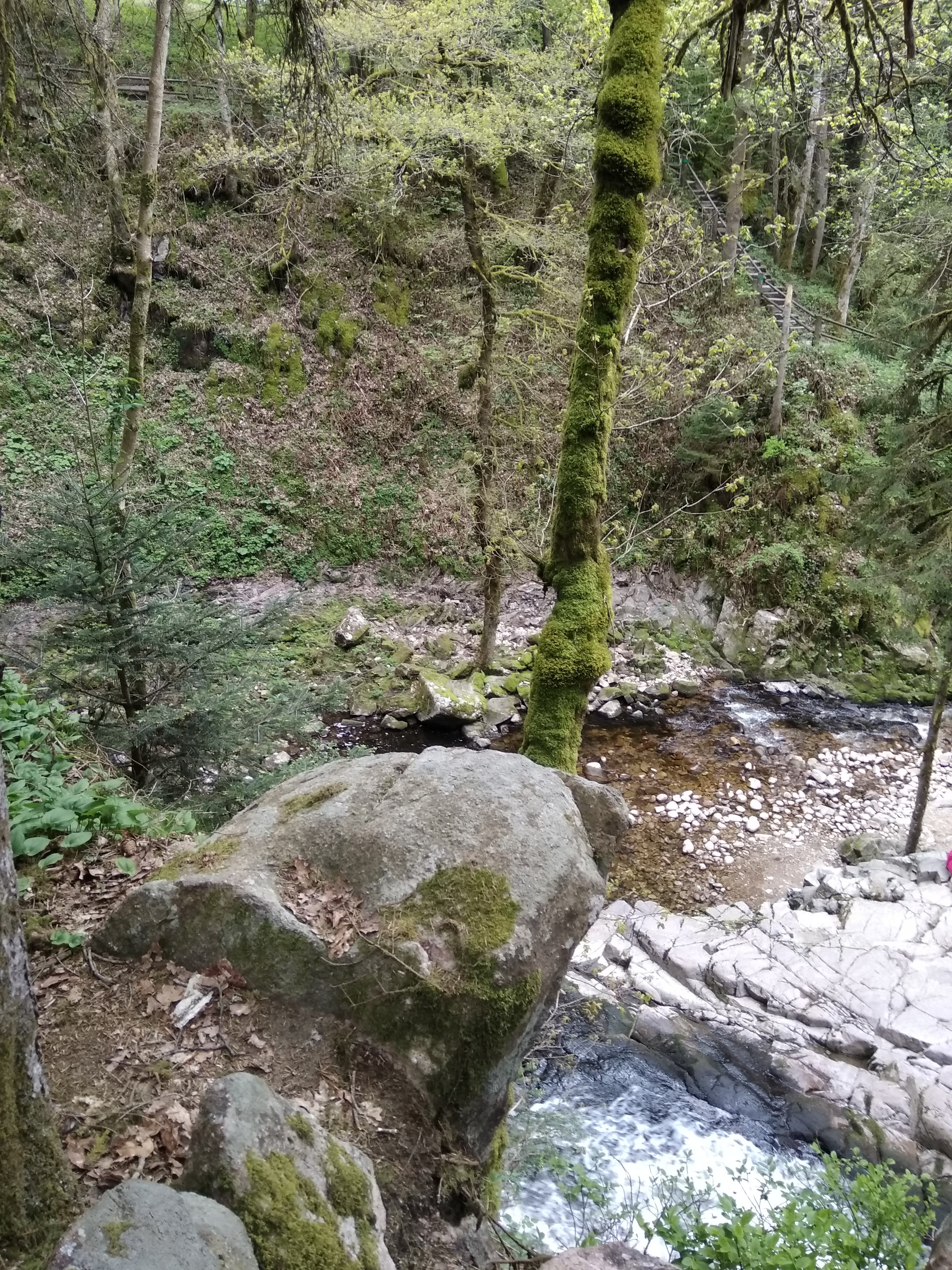 Photo n° 24 de l'avis de Vanessa.. fait le 26/04/2018 à 20:21