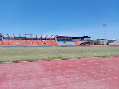 Estadio Delfín