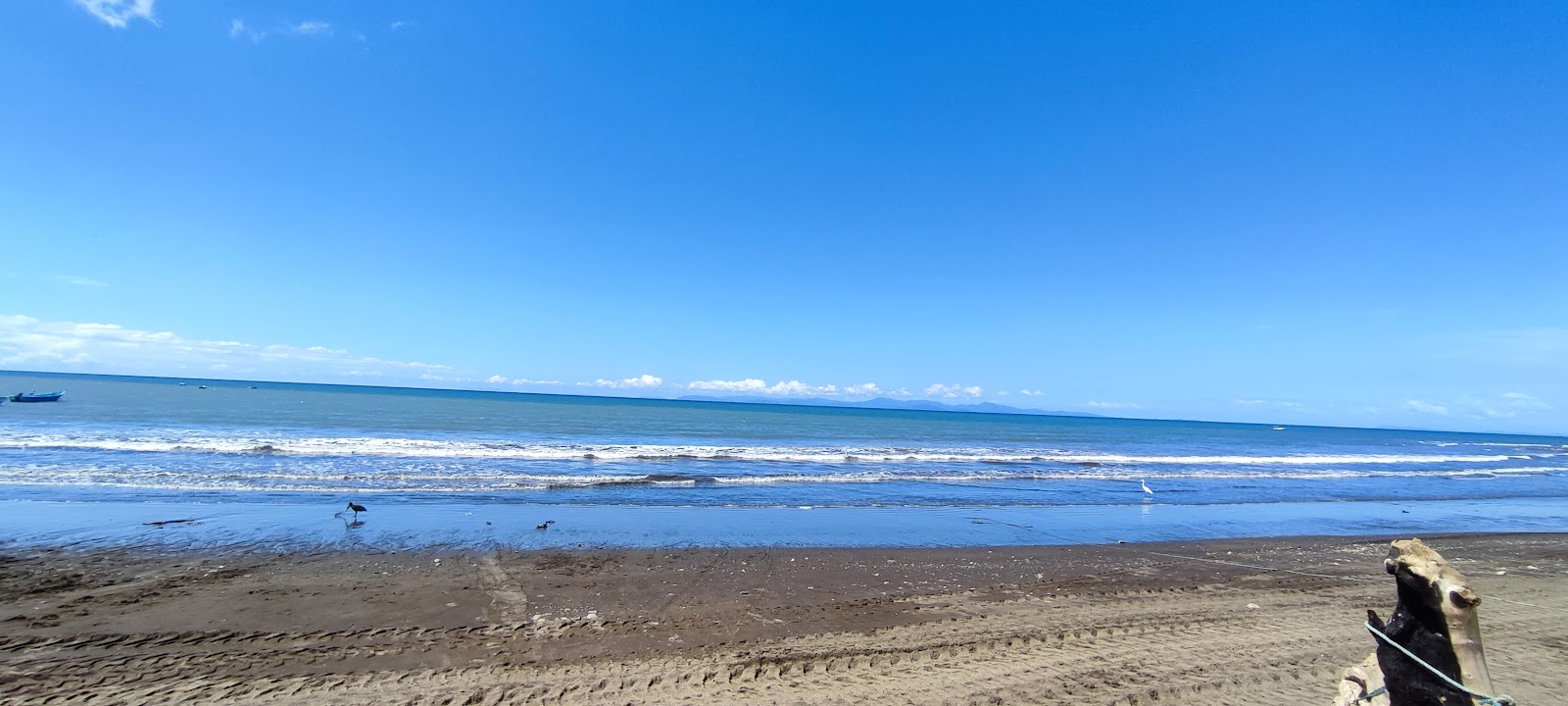 Foto van Playa Tarcoles met turquoise water oppervlakte