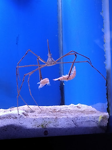 Tropical Fish Store «Tropi-Quatics Pet Center», reviews and photos, 337 S Main St, Lombard, IL 60148, USA