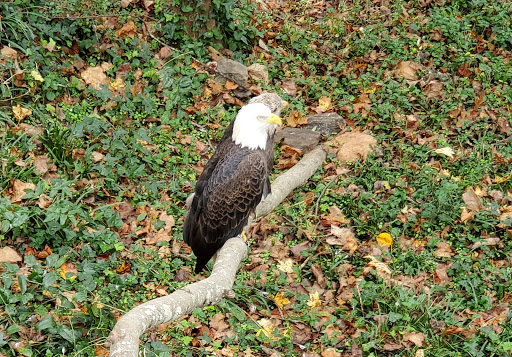 Government Office «Bear Hollow Wildlife Trail», reviews and photos, 293 Gran Ellen Dr, Athens, GA 30606, USA