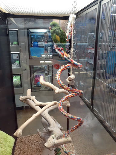 Pet Supply Store «PetSmart», reviews and photos, 863 St George Ave, Woodbridge, NJ 07095, USA
