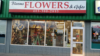 Blooms Flowers and Gifts