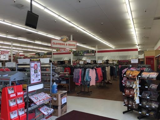 Home Improvement Store «Tractor Supply Co.», reviews and photos, 154 Vestal Pkwy W, Vestal, NY 13850, USA