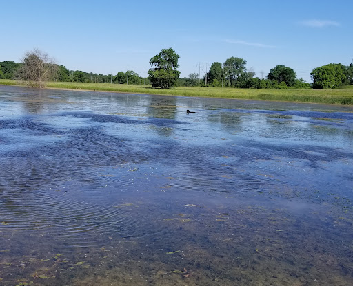 Mill «Sharon Mills County Park», reviews and photos, 5701 Sharon Hollow Rd, Manchester, MI 48158, USA