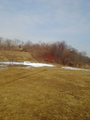 Nickerson Beach - photo 59