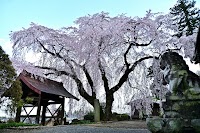 泰叟寺