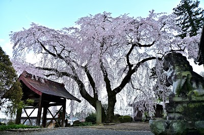 泰叟寺
