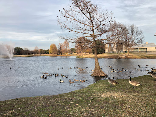 Recreation Center «Joe Farmer Recreation Center», reviews and photos, 1201 E Bethany Dr, Allen, TX 75002, USA