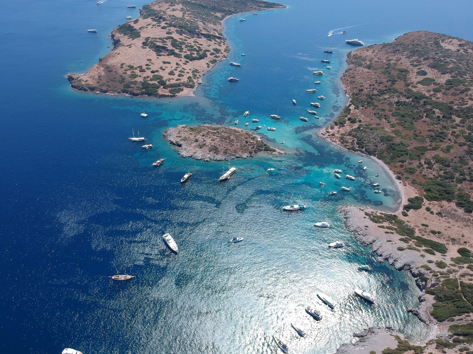 Foto von Akvaryum Bodrum mit kleine bucht