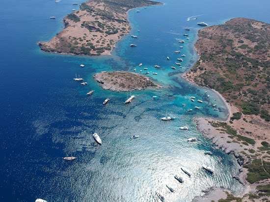 Akvaryum Bodrum
