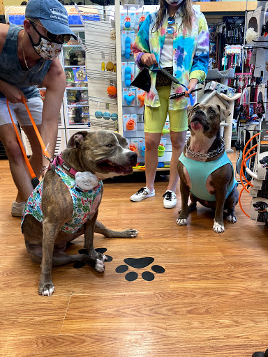 Pet Supply Store «Pet Oasis», reviews and photos, 42220 Washington St, Bermuda Dunes, CA 92203, USA