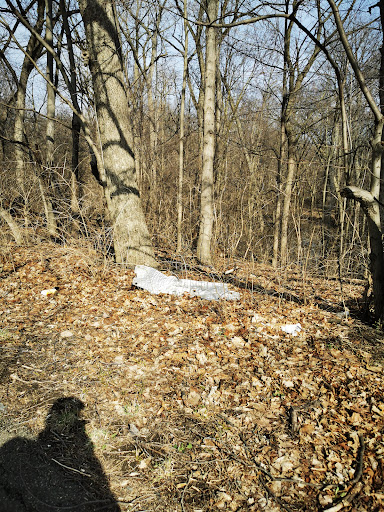 Stonebridge Nature Trail (0.7 mile) Head