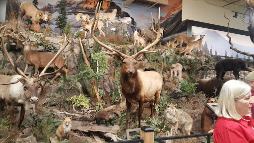 Outdoor Sports Store «Field & Stream», reviews and photos, 800 Brevard Rd #901, Asheville, NC 28806, USA