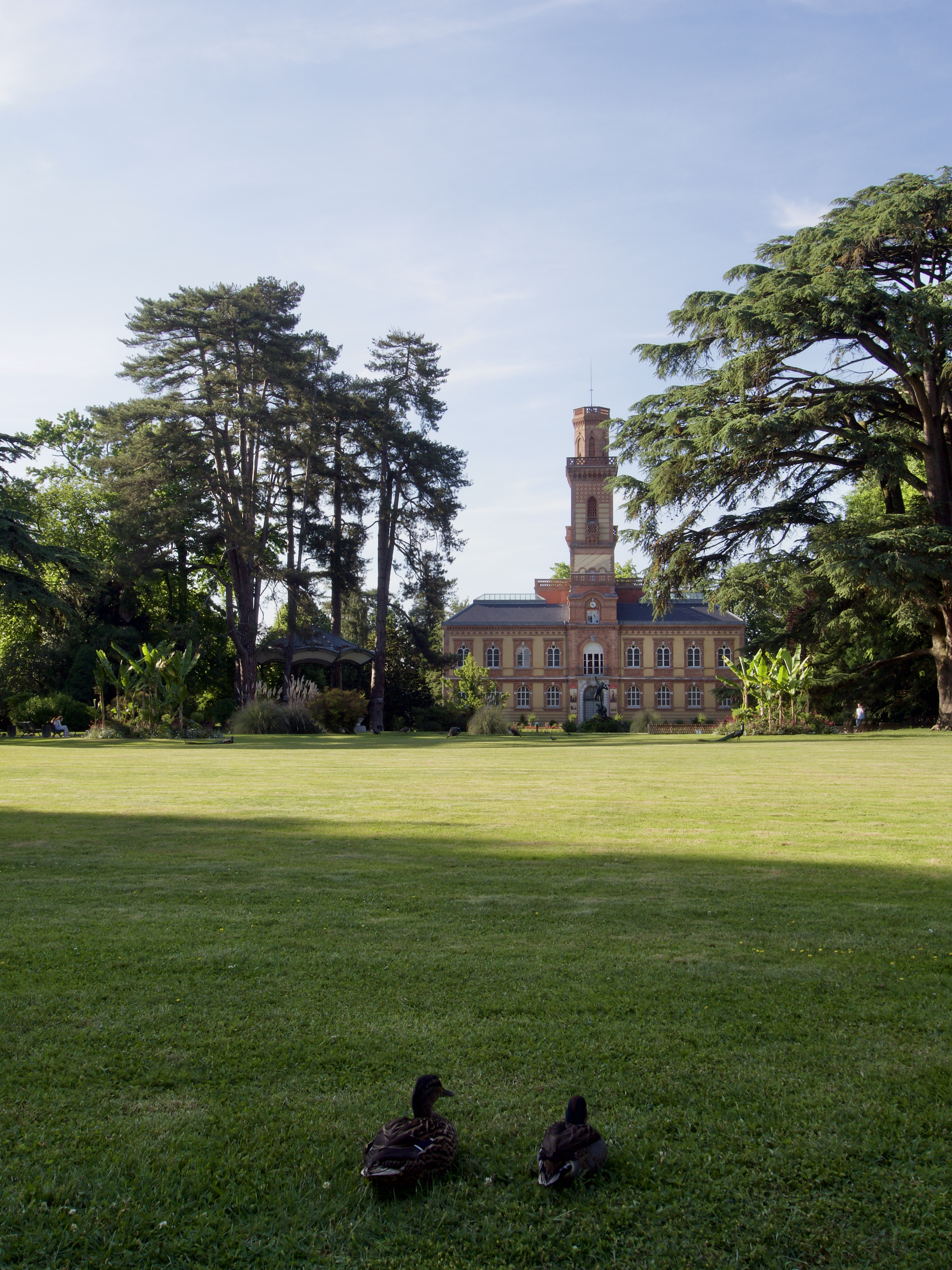 Photo n° 4 de l'avis de Mikaël. fait le 13/01/2022 à 14:12