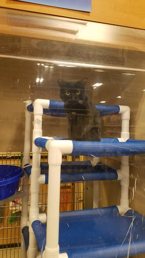 Pet Supply Store «PetSmart», reviews and photos, 3 McKenna Rd, Arden, NC 28704, USA