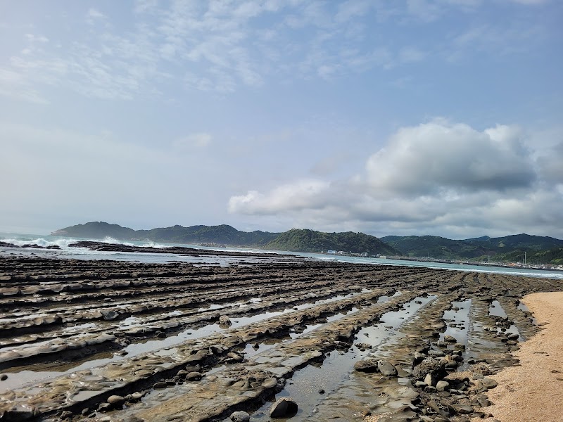 青島の隆起海床と奇形波蝕痕