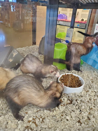Pet Supply Store «Petco Animal Supplies», reviews and photos, 2005 W 8 Mile Rd, Detroit, MI 48203, USA