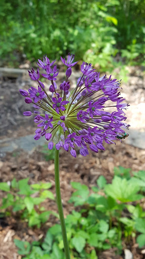 Nature Preserve «Iowa Raptor Center», reviews and photos, 2095 Mehaffey Bridge Rd NE, Solon, IA 52333, USA