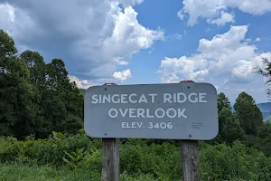 Singecat Ridge Overlook image