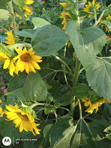 Thrift Store «Second Blessing Thrift Store Inc.», reviews and photos, 2323 Central Ave, Wichita, KS 67214, USA