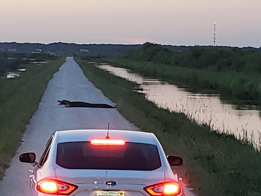 Nature Preserve «Lake Apopka Wildlife Drive», reviews and photos, 2803 Lust Rd, Apopka, FL 32703, USA