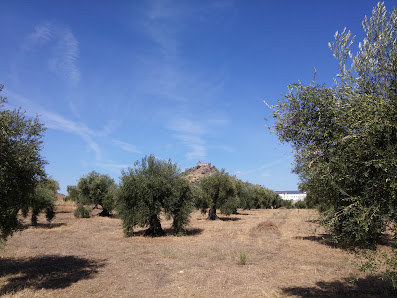 Sabores De La Dehesa Ctra. de Jerez, 0, 06370 Burguillos del Cerro, Badajoz, España