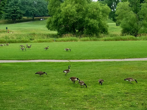 Golf Course «Jones Park Golf Course», reviews and photos, 2901 Fruitland Blvd SW, Cedar Rapids, IA 52404, USA