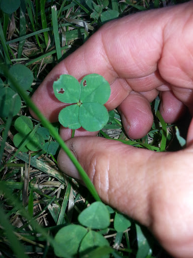 Toy Store «The Nature And Discovery Store,Inc.», reviews and photos, 19 Hughes St, New Ringgold, PA 17960, USA