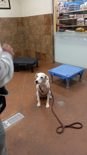 Pet Supply Store «PetSmart», reviews and photos, 265 Chelmsford St, Chelmsford, MA 01824, USA