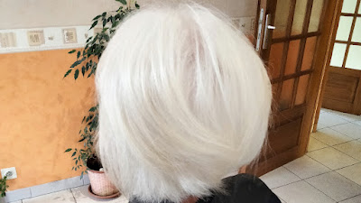 Cat coupe à Feurs