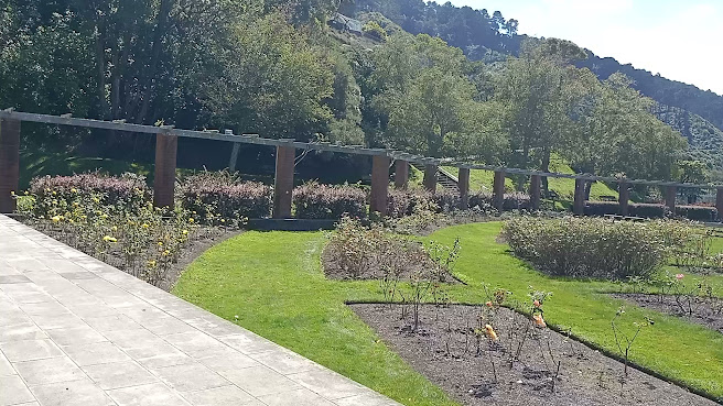 Wellington Botanic Garden by null