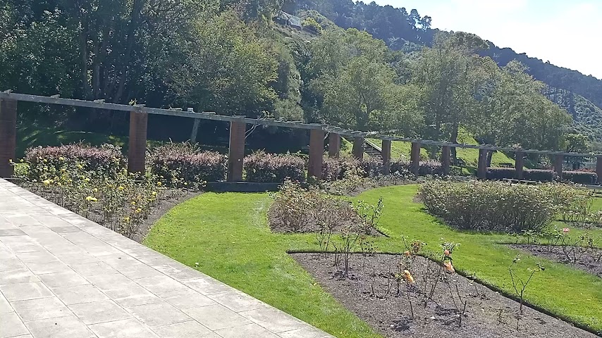 Wellington Botanic Garden by null