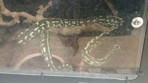 Pet Store «Aqualand Pets Plus», reviews and photos, 3600 6th Ave, Des Moines, IA 50313, USA