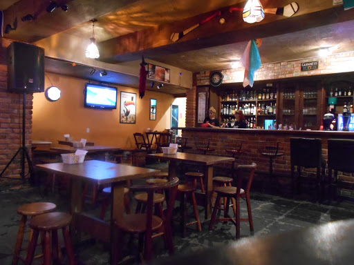 Logo da empresa - Lapa Irish Pub
