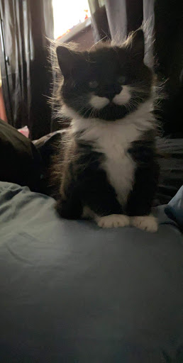 Animal Feed Store «Wilco Farm Store», reviews and photos, 19224 S Molalla Ave, Oregon City, OR 97045, USA